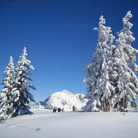 Apartment Niedermoser