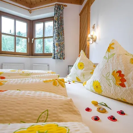 Niedermoser Appartamento Leogang