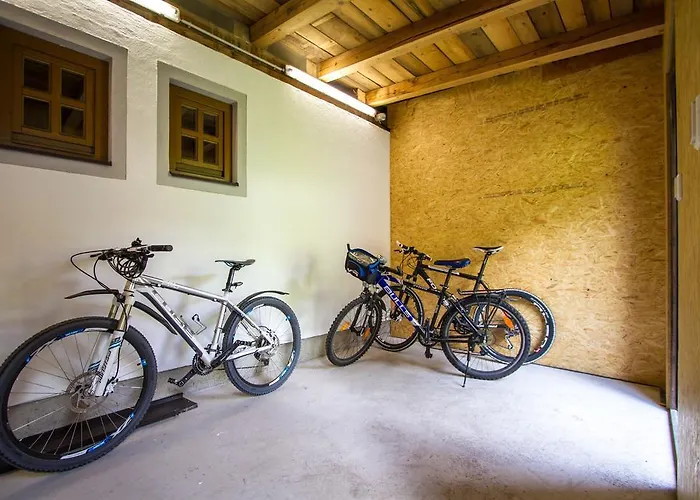 Niedermoser 레오강