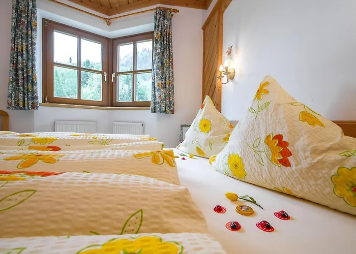 Niedermoser 아파트 레오강